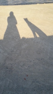 ������ƎU���Ȃ��B