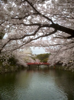 �ʊp�x����B