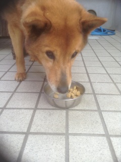 GW�̍ŏI����