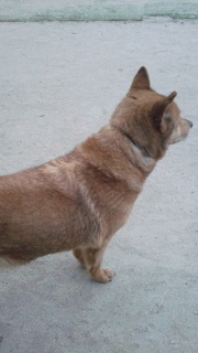 �����̃t�[����B