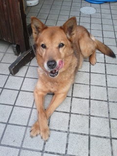 �������肵�Ă��܂����B