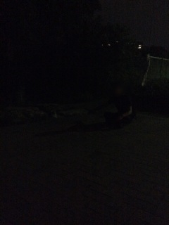 �`�c����Ɩ�̎U���B