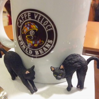 ����˂�����