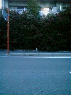 ���H�������