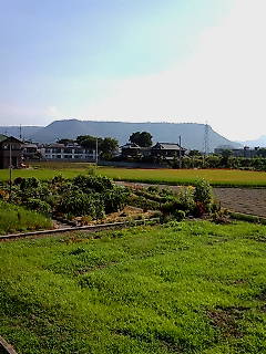 ���I�p���X����