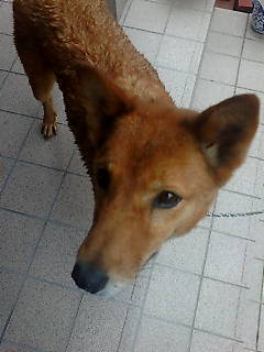 �s������