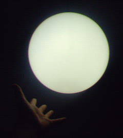 �������ƂƂ���肽������Ȃ��B