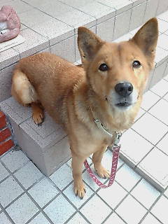 �������B