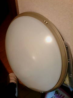 �d�������Ă���(����)