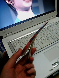 ����ȁ[�ɁH