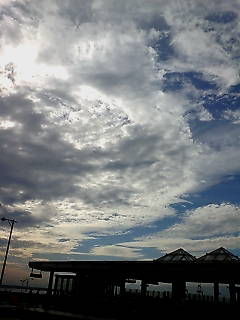 ���Ă̐w���I